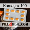 Kamagra 100 cialis3